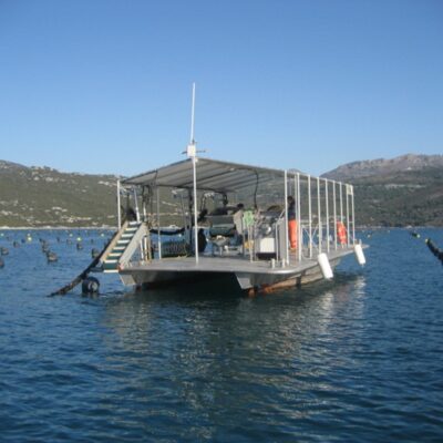 Oyster Farm Boat 01 - Marina STUDIO & studio 360